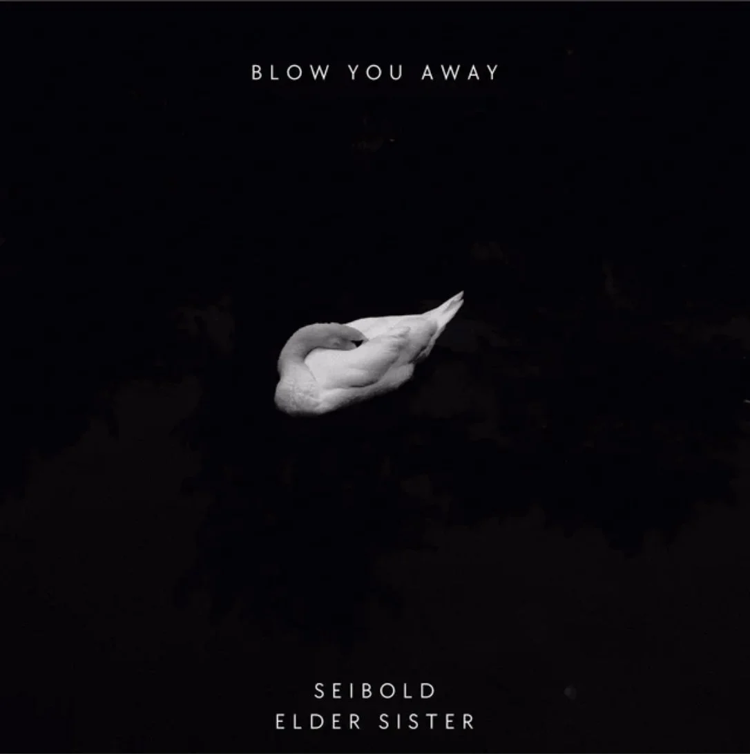 Seibold x Elder Sister’s newest single “Blow You Away” is AVAILABLE NOW!!!