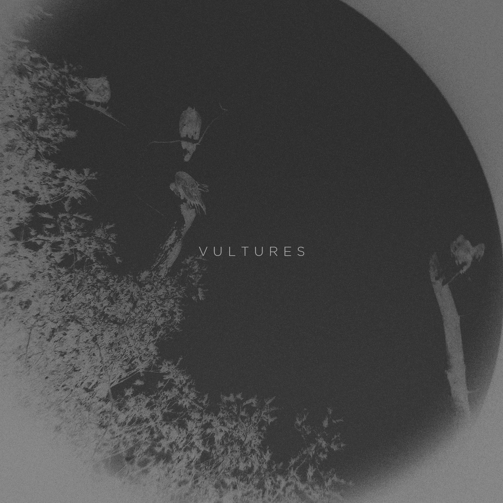 New Sun Heat single "Vultures"