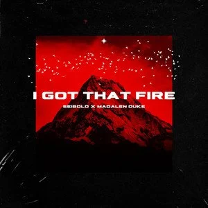 Seibold Ignites a New Era With “I Got That Fire” feat. Madalen Duke